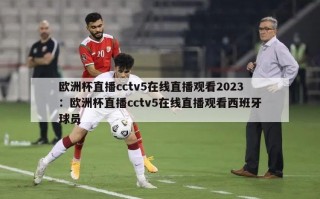 欧洲杯直播cctv5在线直播观看2023：欧洲杯直播cctv5在线直播观看西班牙球员