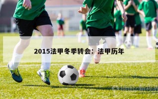 2015法甲冬季转会：法甲历年