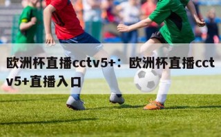 欧洲杯直播cctv5+：欧洲杯直播cctv5+直播入口