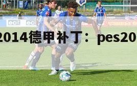 pes2014德甲补丁：pes2014大补