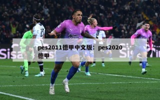 pes2011德甲中文版：pes2020德甲