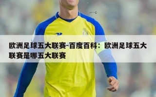 欧洲足球五大联赛-百度百科：欧洲足球五大联赛是哪五大联赛