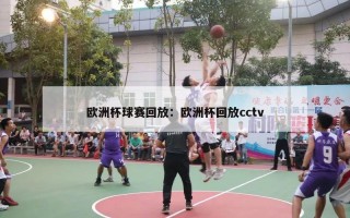 欧洲杯球赛回放：欧洲杯回放cctv