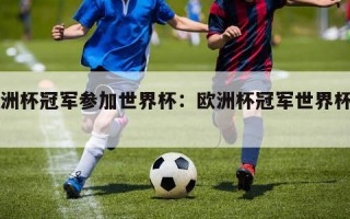 欧洲杯冠军参加世界杯：欧洲杯冠军世界杯出局