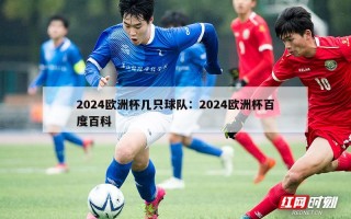 2024欧洲杯几只球队：2024欧洲杯百度百科