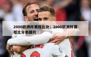 2000欧洲杯赛程比分：2000欧洲杯赛程比分表图片