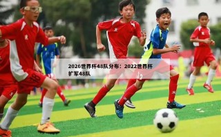 2026世界杯48队分布：2022世界杯扩军48队