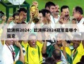 欧洲杯2024：欧洲杯2024冠军是哪个国家