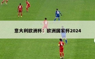 意大利欧洲杯：欧洲国家杯2024