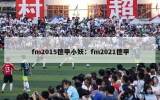 fm2015德甲小妖：fm2021德甲