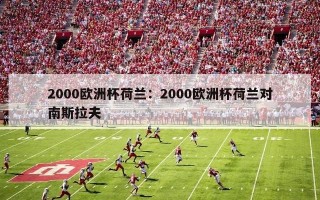 2000欧洲杯荷兰：2000欧洲杯荷兰对南斯拉夫