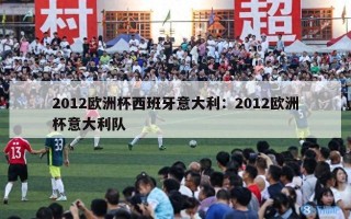 2012欧洲杯西班牙意大利：2012欧洲杯意大利队