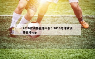 2016欧洲杯直播平台：2016足球欧洲杯直播app