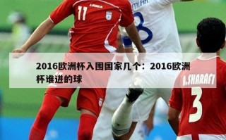 2016欧洲杯入围国家几个：2016欧洲杯谁进的球