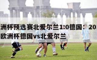 欧洲杯预选赛北爱尔兰1:0德国：2016年欧洲杯德国vs北爱尔兰