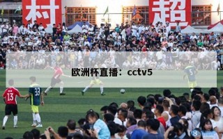 欧洲杯直播：cctv5