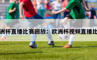 欧洲杯直播比赛回放：欧洲杯视频直播比赛