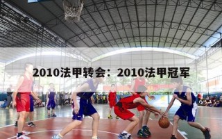 2010法甲转会：2010法甲冠军