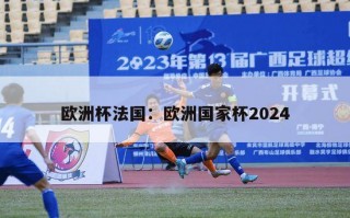 欧洲杯法国：欧洲国家杯2024