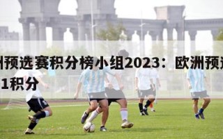 欧洲预选赛积分榜小组2023：欧洲预选赛2021积分