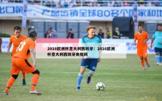 2016欧洲杯意大利西班牙：2016欧洲杯意大利西班牙央视网