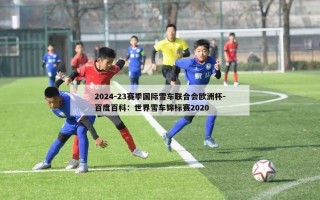 2024-23赛季国际雪车联合会欧洲杯-百度百科：世界雪车锦标赛2020