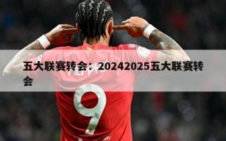 五大联赛转会：20242025五大联赛转会