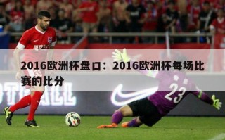 2016欧洲杯盘口：2016欧洲杯每场比赛的比分