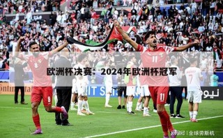 欧洲杯决赛：2024年欧洲杯冠军