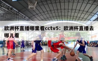 欧洲杯直播哪里看cctv5：欧洲杯直播去哪儿看