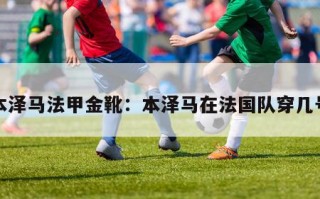 本泽马法甲金靴：本泽马在法国队穿几号