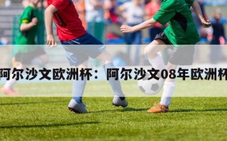 阿尔沙文欧洲杯：阿尔沙文08年欧洲杯