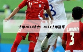 法甲2011转会：2011法甲冠军