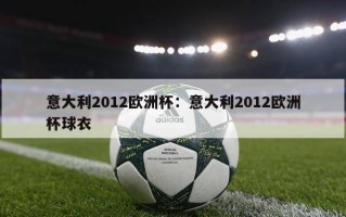 意大利2012欧洲杯：意大利2012欧洲杯球衣