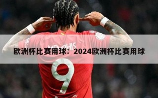 欧洲杯比赛用球：2024欧洲杯比赛用球