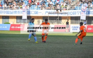 2016欧洲杯官方图片：2016年欧洲杯足球图片