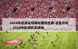 2024年欧洲足球锦标赛预选赛-百度百科：2024年欧洲杯足球场