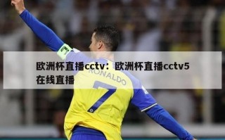 欧洲杯直播cctv：欧洲杯直播cctv5在线直播