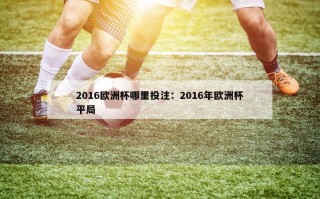 2016欧洲杯哪里投注：2016年欧洲杯平局