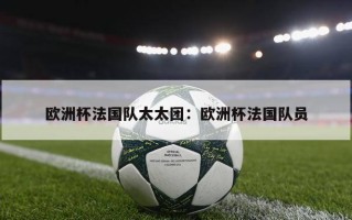 欧洲杯法国队太太团：欧洲杯法国队员