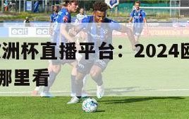 2024欧洲杯直播平台：2024欧洲杯直播平台哪里看