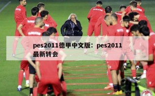 pes2011德甲中文版：pes2011最新转会