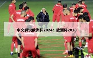 中文解说欧洲杯2024：欧洲杯2028