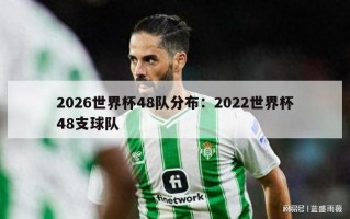 2026世界杯48队分布：2022世界杯48支球队