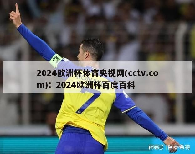 2024欧洲杯体育央视网(cctv.com)：2024欧洲杯百度百科