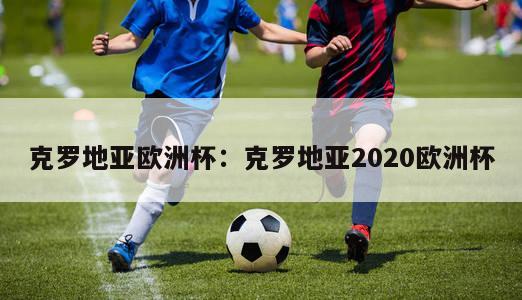 克罗地亚欧洲杯：克罗地亚2020欧洲杯