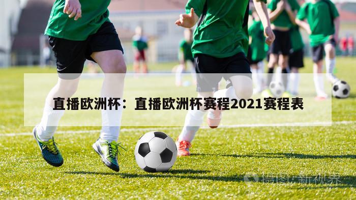 直播欧洲杯：直播欧洲杯赛程2021赛程表