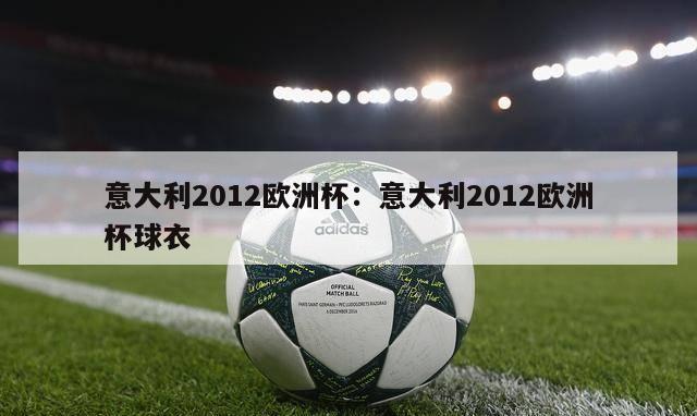 意大利2012欧洲杯：意大利2012欧洲杯球衣