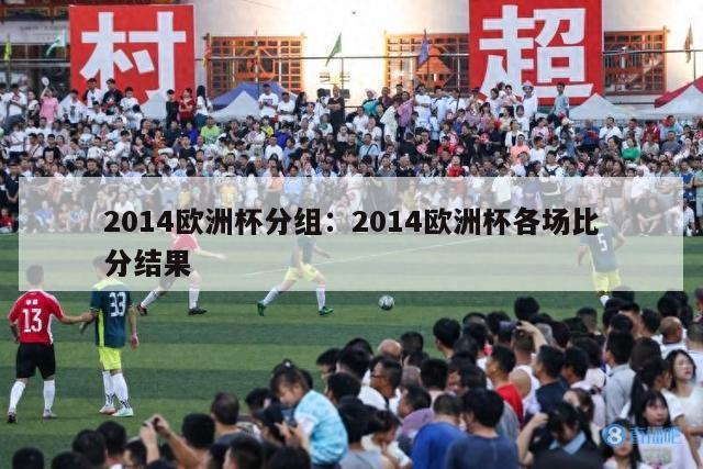 2014欧洲杯分组：2014欧洲杯各场比分结果