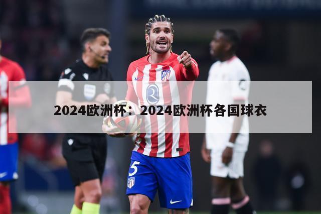 2024欧洲杯：2024欧洲杯各国球衣